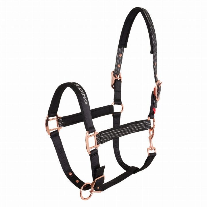 Kantar IR Belle Star