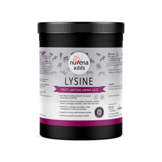 Suplement NUVENA Lizyna 600g