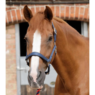 Kantar PREMIER EQUINE Plain