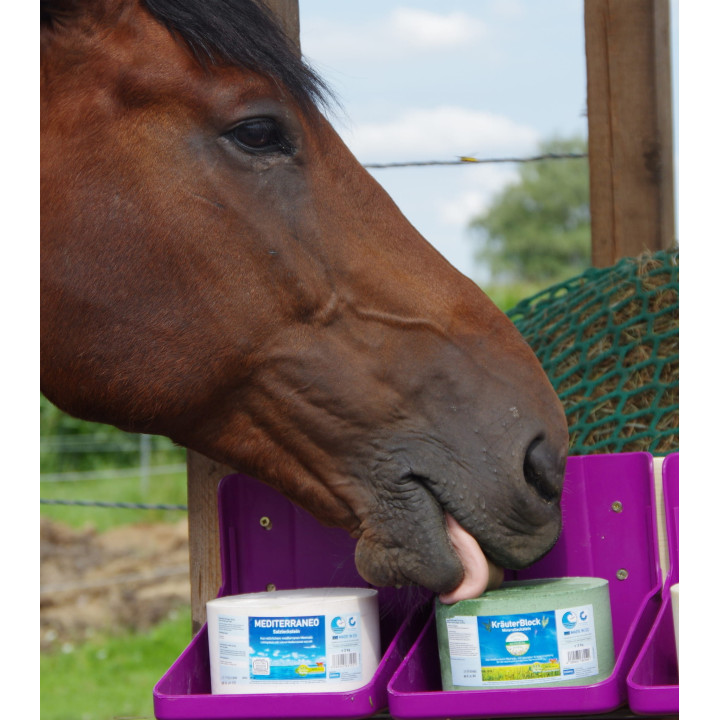 Lizawka mineralna IMIMA KrauterBlock 3kg