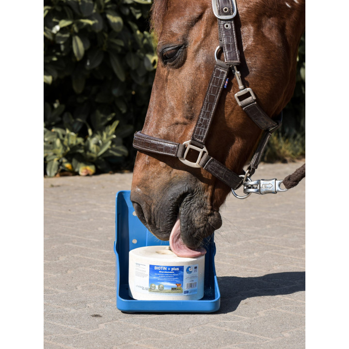 Lizawka mineralna IMIMA Biotin + plus 3kg