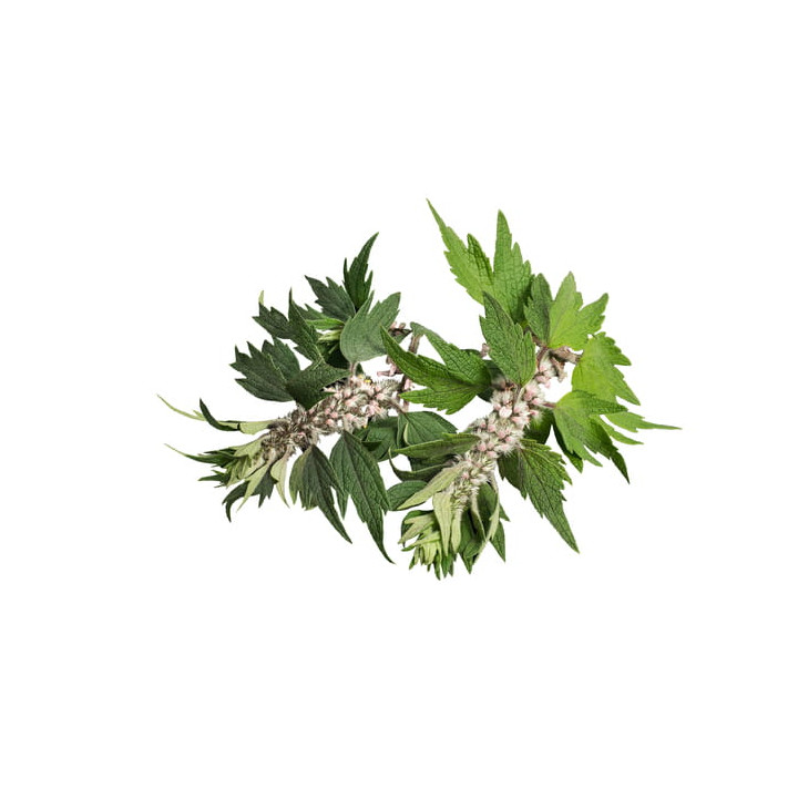 Serdecznik pospolity EQUIHERBS ziele 500g