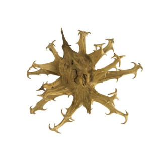 Czarci pazur EQUIHERBS mielony 500g