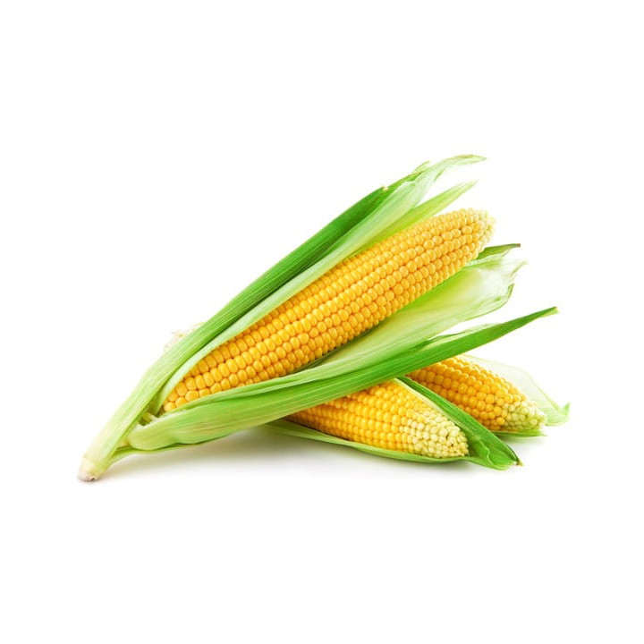 Olej kukurydziany EQUIHERBS 1l