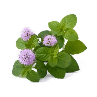 Melisa EQUIHERBS ziele 1000g