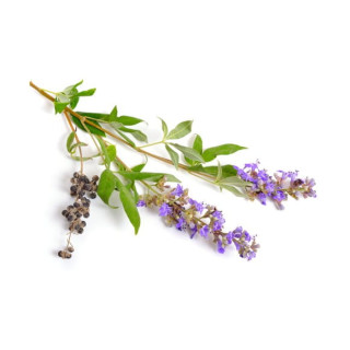 Niepokalanek pospolity EQUIHERBS 500g