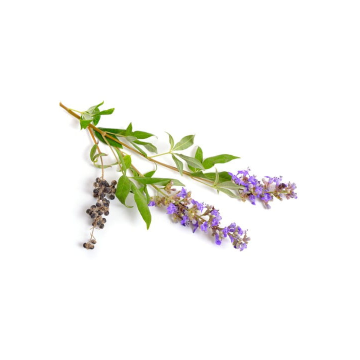 Niepokalanek pospolity EQUIHERBS 500g