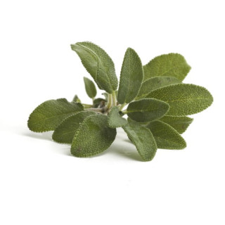 Szałwia EQUIHERBS ziele 500g