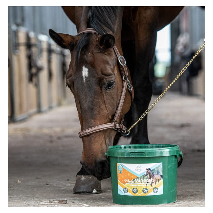 Witaminy i minerały MEBIO Daily Minerals 8kg gr.