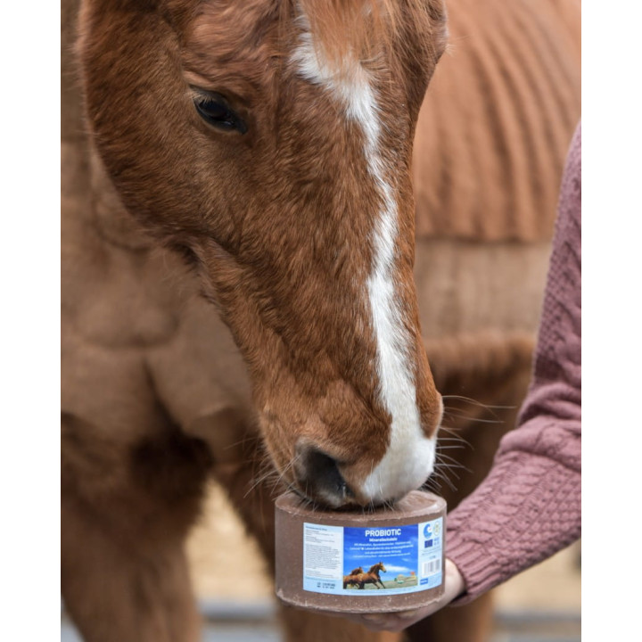 Lizawka mineralna IMIMA Probiotic 3kg