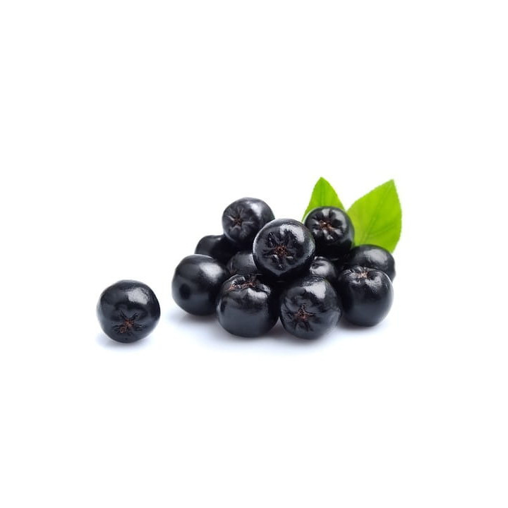 Aronia EQUIHERBS cały owoc 1000g
