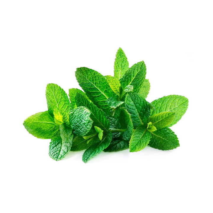 Mięta EQUIHERBS ziele 1000g