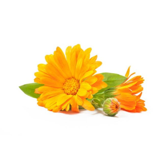 Nagietek EQUIHERBS kwiat 1000g