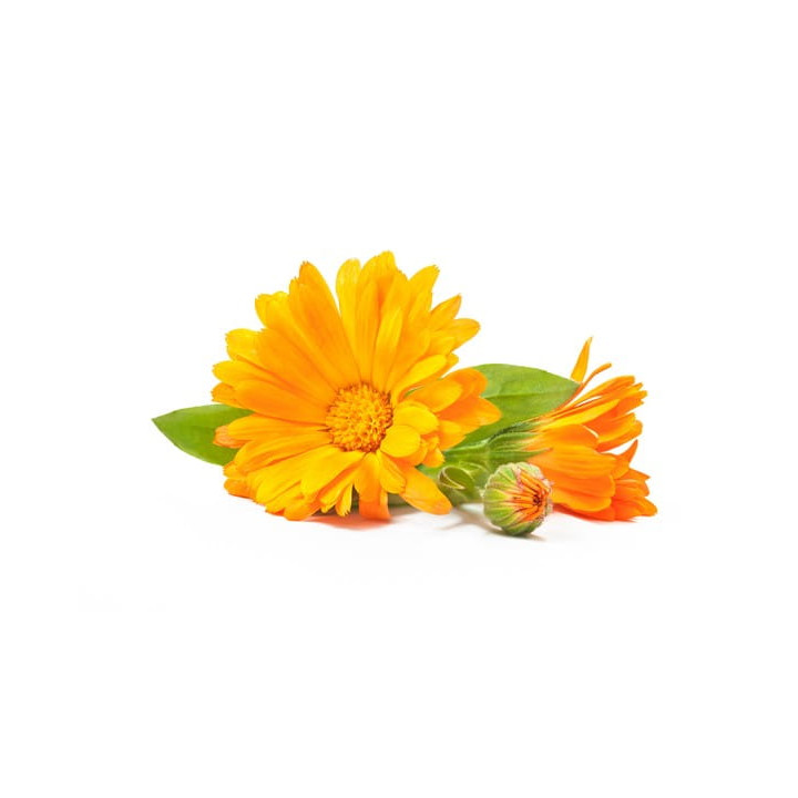 Nagietek EQUIHERBS kwiat 1000g