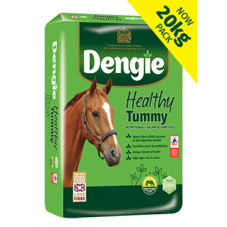 Sieczka DENGIE Healthy Tummy 20kg
