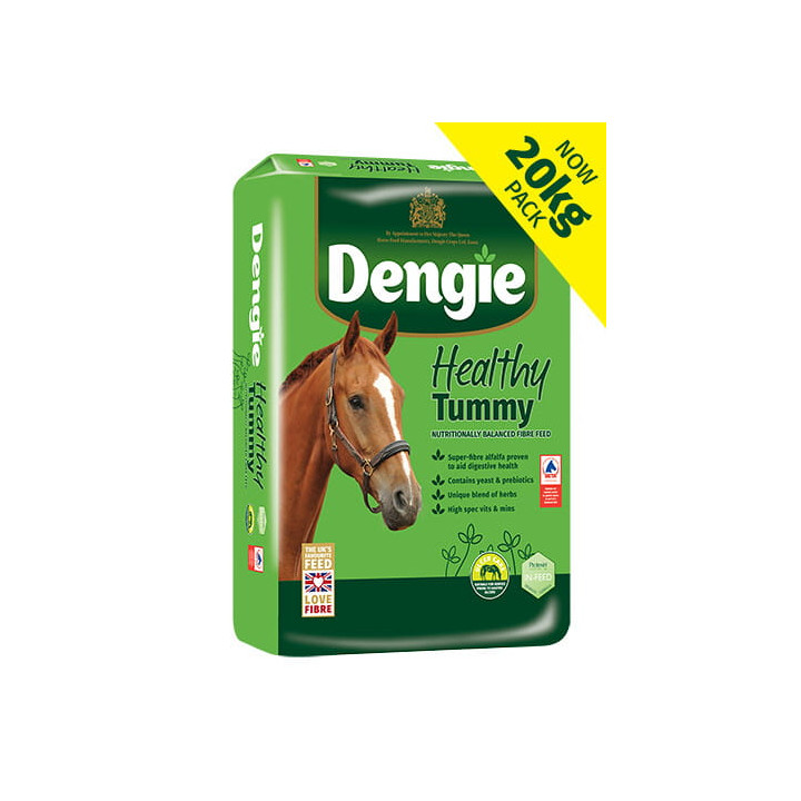 Sieczka DENGIE Healthy Tummy 20kg