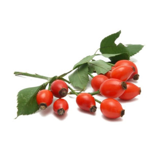 Dzika róża EQUIHERBS cały owoc 2500g