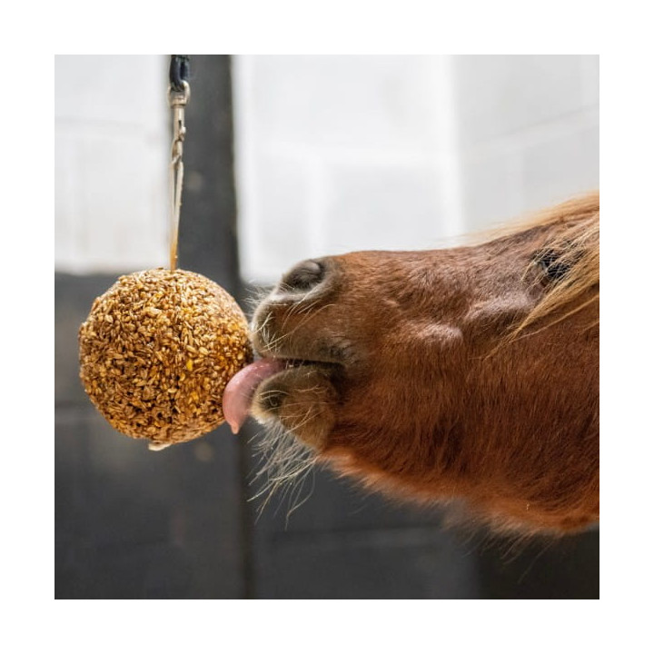 Lizawka LIKIT Granola Stall Ball peppermint 1,6kg