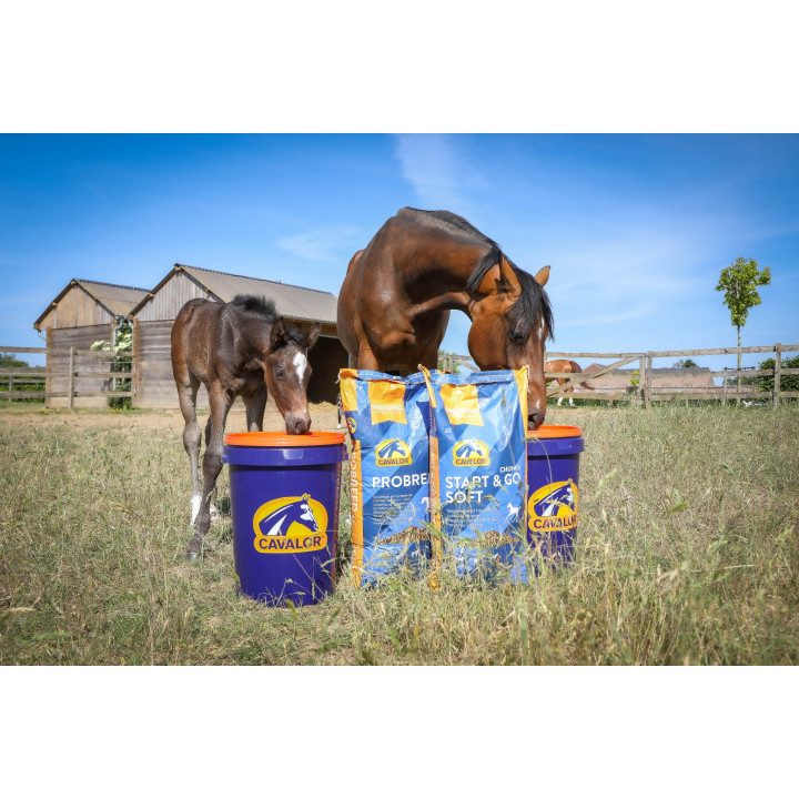 Pasza CAVALOR Probreed Mix dla klaczy h 20kg musli