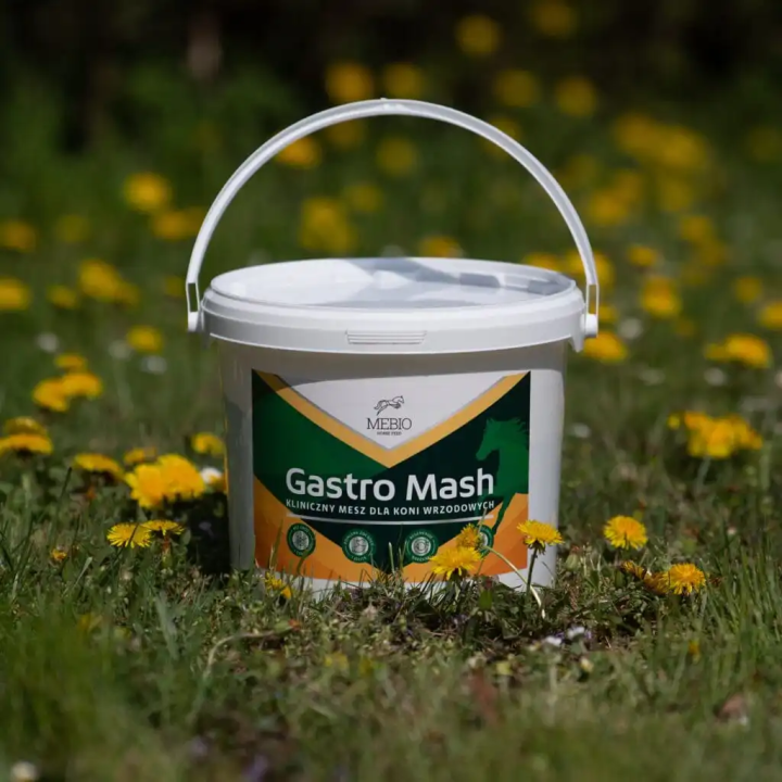 Mesz kliniczny MEBIO GastroMash dla koni wrzod 3kg