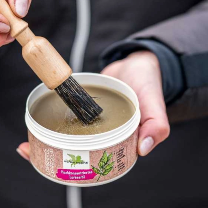 Maść do kopyt B&E LorbeerolExpressum 250ml