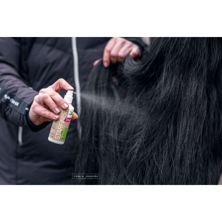 Odżywka do grzywy i ogona B&E StarFinish 100ml