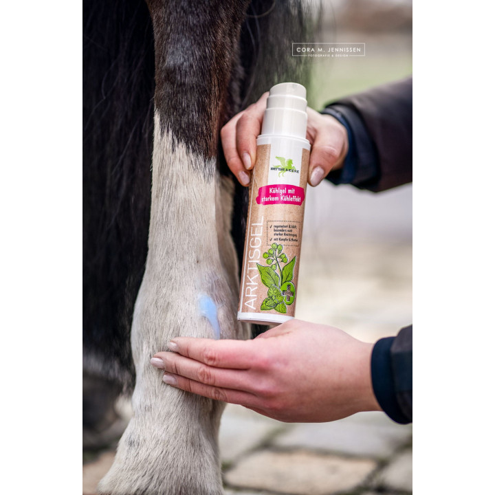 Żel chłodzący B&E ArktisGel kamfora/menthol 200ml