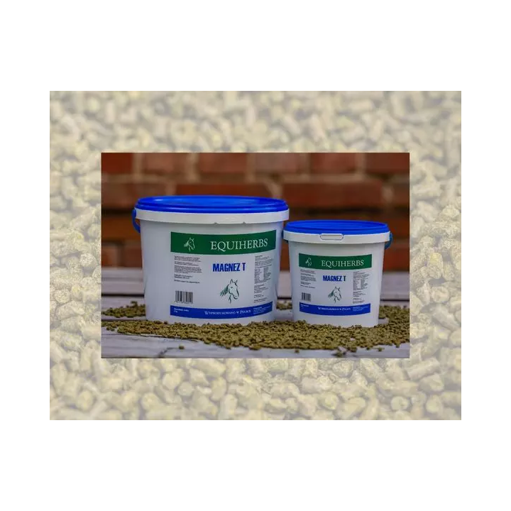 Magnez T EQUIHERBS 2000g