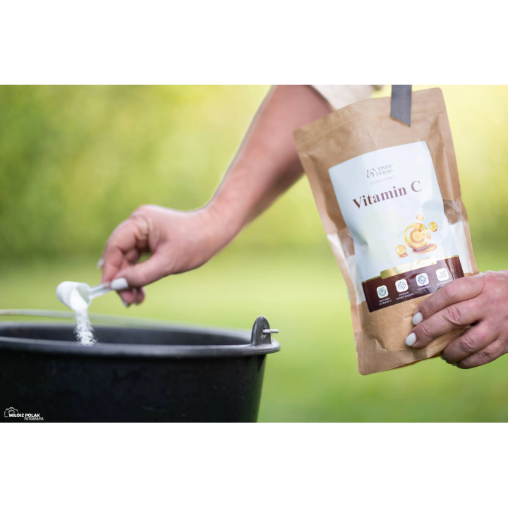 Witamina C OH Vitamin C 600g