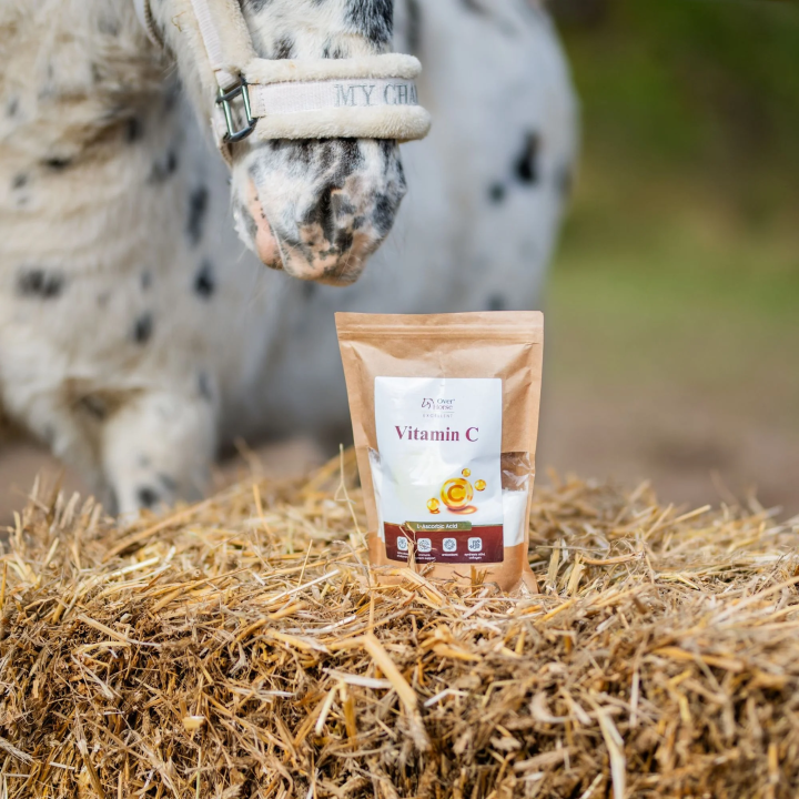 Witamina C OH Vitamin C 600g