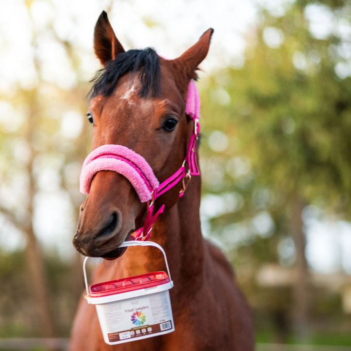 Witaminy dla koni OH VitaComplex 3kg