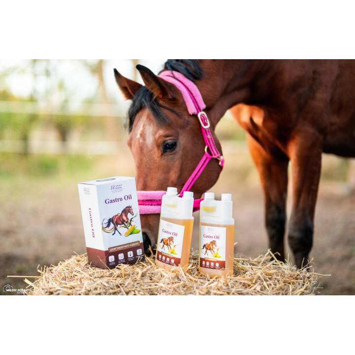 Olej dla koni wrzodowych OH GastroOil 2x1l