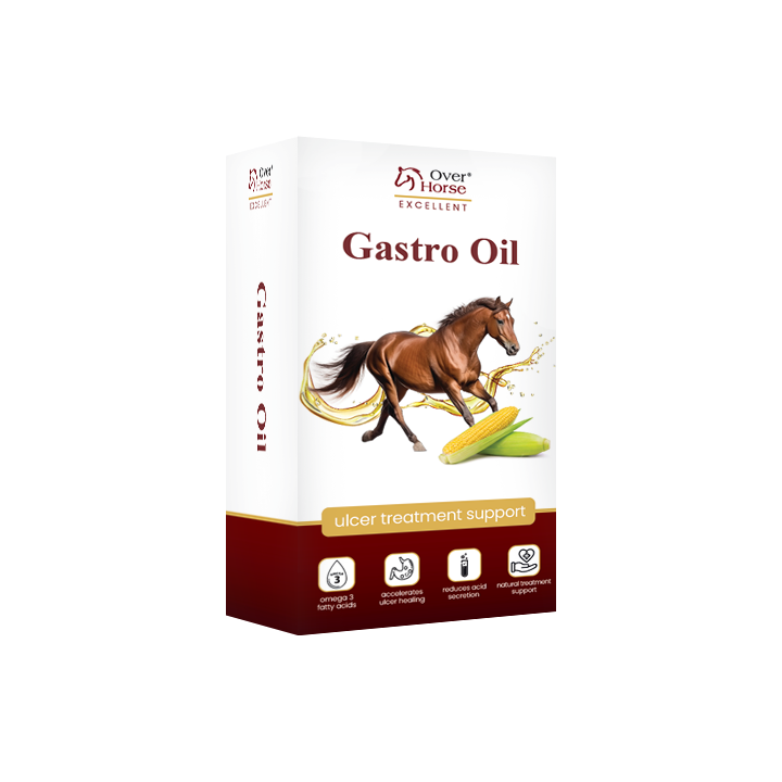 Olej dla koni wrzodowych OH GastroOil 2x1l