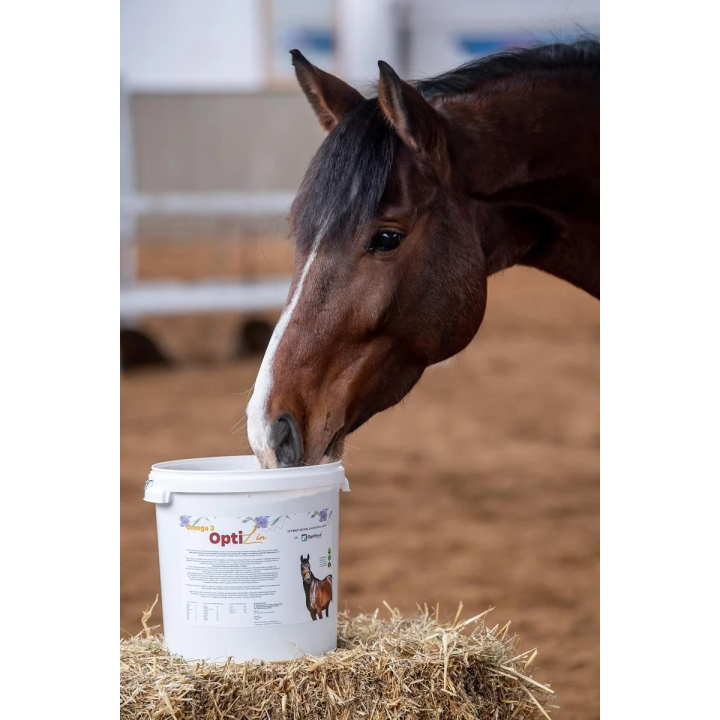 Siemię lniane OPTI-FEED OptiLin szybkie 9kg