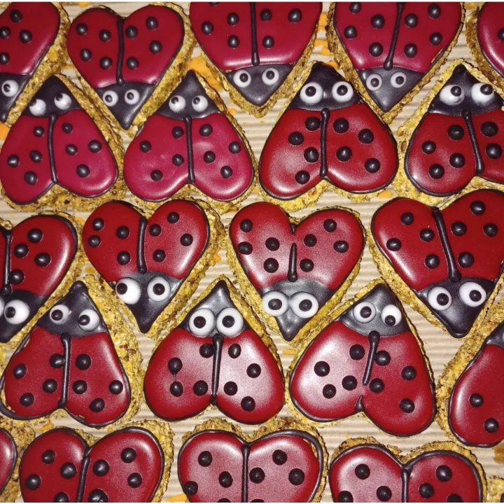 Ciastko PAKA DLA RUMAKA Biedronka Czerwona