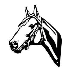 Ozdoba ścienna DECORMETAL Head with bit 30cm