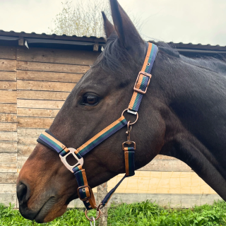 Kantar dla konia START Rustic