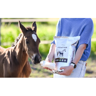 Mleko zastępcze OH 4 Foal Milk 4kg