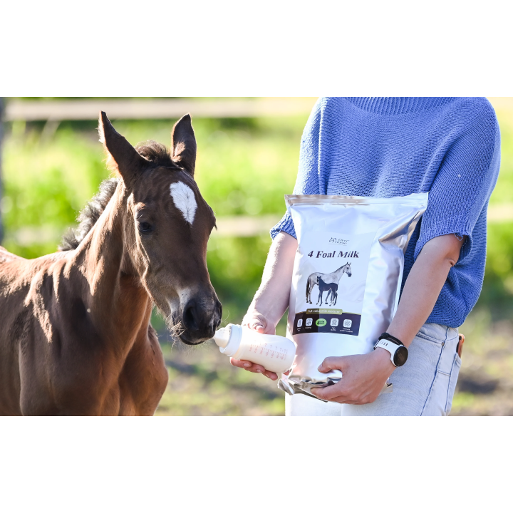Mleko zastępcze OH 4 Foal Milk 4kg