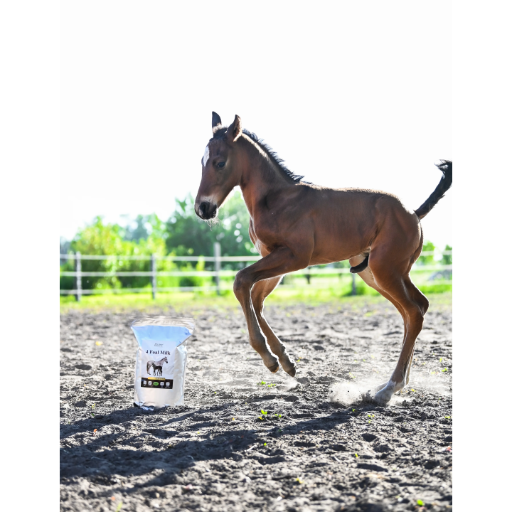 Mleko zastępcze OH 4 Foal Milk 4kg