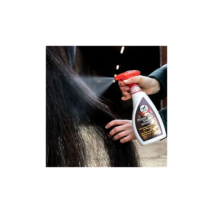 Odżywka do sierści LEOVET PowerStriegel 550ml orze