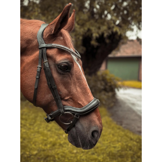 Ogłowie dla konia START Selene anatomiczne | Sklep jeździecki Horse-Trade.pl