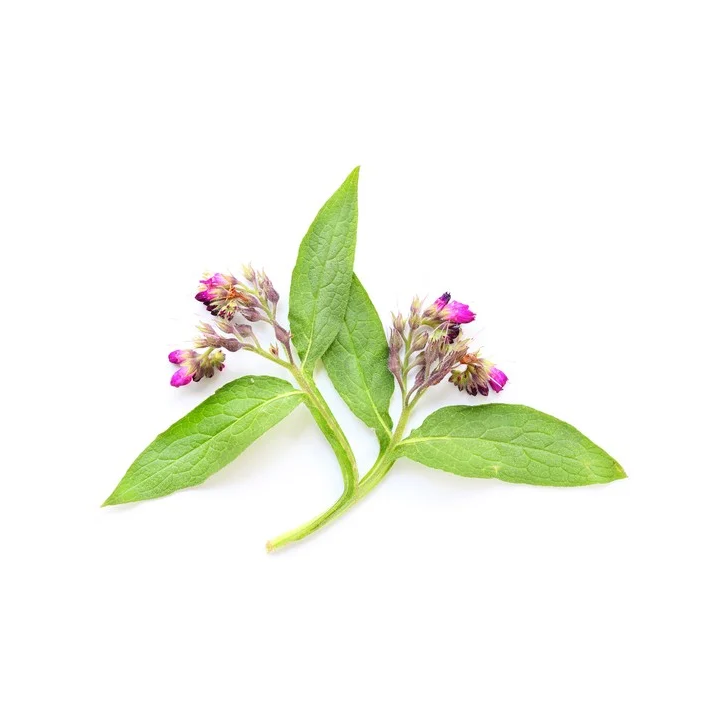 Żywokost lekarski EQUIHERBS korzeń 1kg