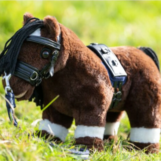 Zestaw do lonżowania HKM CuddlePony Longierset