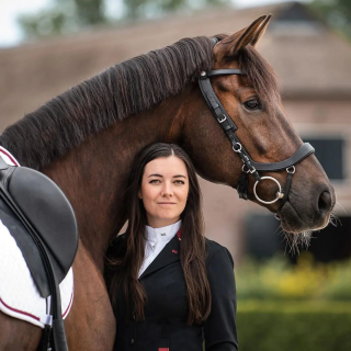 Ogłowie PresTEQ FaySport