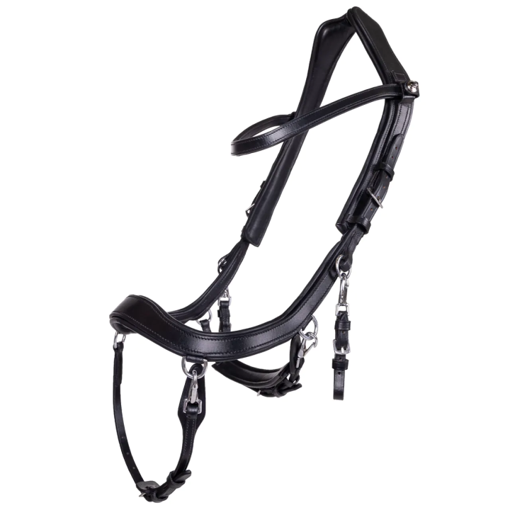 Ogłowie PresTEQ FaySport