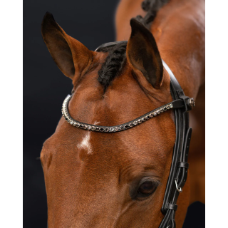 Naczółek PresTEQ ShineBright | Sklep jeździecki Horse-Trade.pl