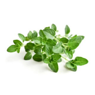 Oregano EQUIHERBS 500g