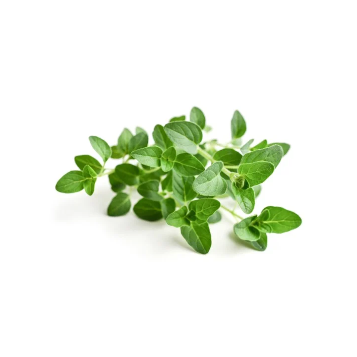 Oregano EQUIHERBS 500g