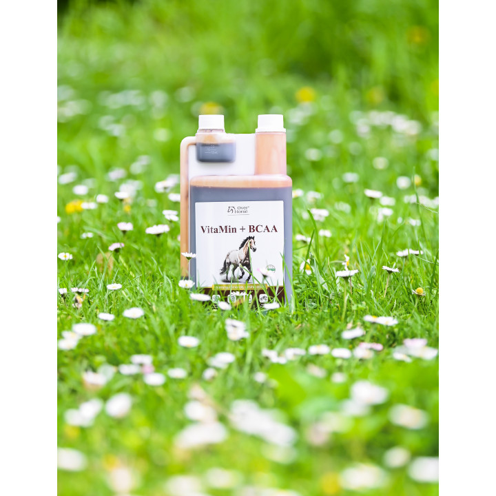 Suplement OH VitaMin+BCAA wit+amino 1l